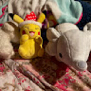 Meet your Posher, Trish